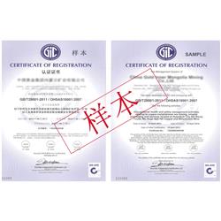 专业提供OHSMS18001职业健康与安全管理体系认证服务（66-125人，二级安全程度）
